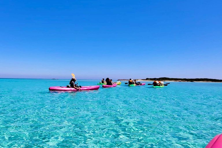 Bonifacio: Guided tour of the caves and cliffs with a swim