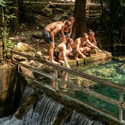Bangkok: Khao Yai National Park Day Trip with Night Safari Bangkok: Khao Yai National Park Day Trip with Night Safari