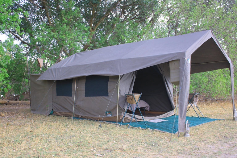 Moremi y Khwai: Safari con safaris y paseo en barco