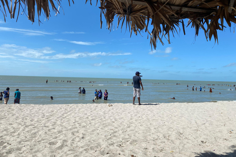 Sri Lanka: 7-Day Cultural Immersion Tour with Transfers