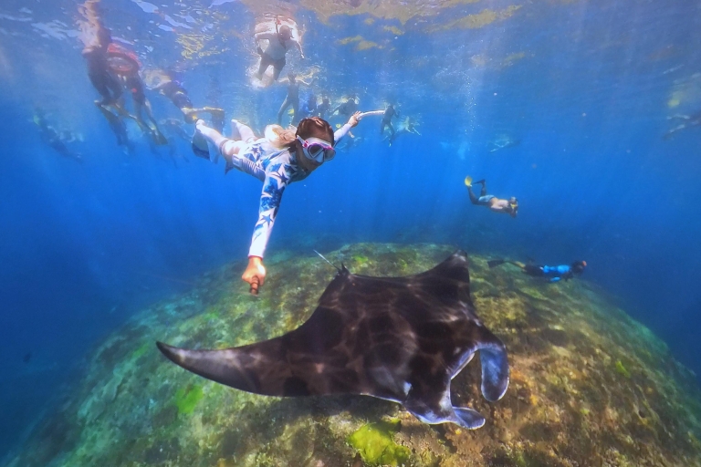 Ab Bali: Schwimmen mit Mantarochen auf Nusa Penida