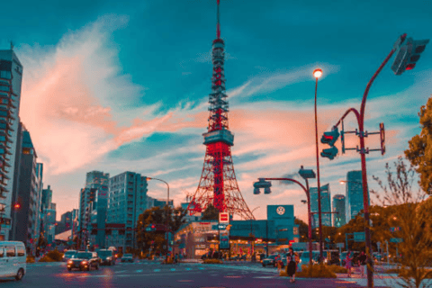 From Tokyo: Tokyo Full Day Private Sightseeing City Tour Tokyo Full Day Private Customize Tour