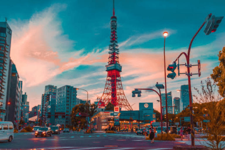 From Tokyo: Tokyo Full Day Private Sightseeing City Tour Tokyo Full Day Private Customize Tour