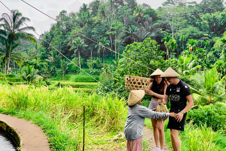 Ubud privato: Cascate, tempio dell&#039;acqua, terrazza di risoTour di un giorno (10-12 ore di tour), escluse le tariffe dei biglietti d&#039;ingresso