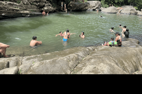 El Yunque Tour Forêt tropicale et toboggan aquatique Puerto Rico