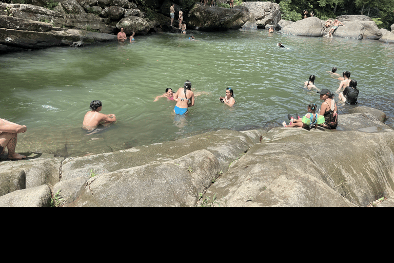 El Yunque Tour Forêt tropicale et toboggan aquatique Puerto Rico