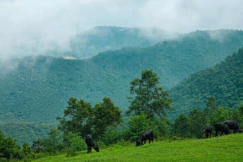 From Kathmandu: Chapakharka Hike & Godavari Botanical Garden