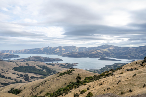 Akaroa Day Tour From Christchurch with Giants House