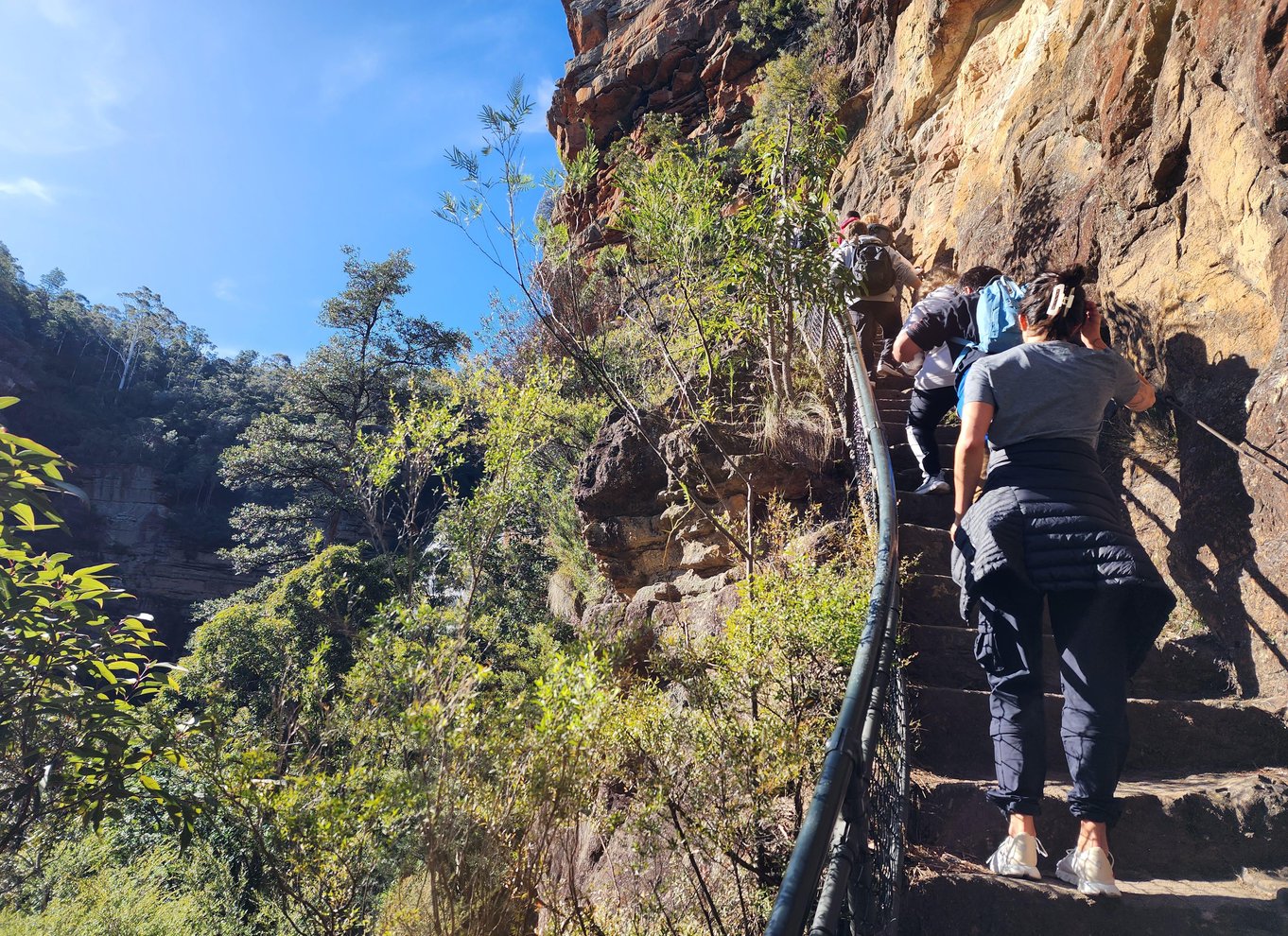 Fra Sydney: Blue Mountains-tur med vandfaldsvandring og frokost