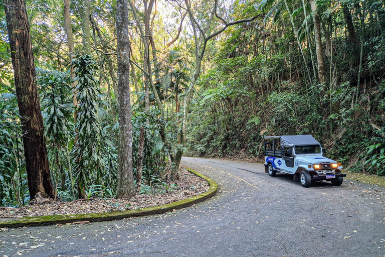 Rio de Janeiro sunset by Jeep Italian speaking guide