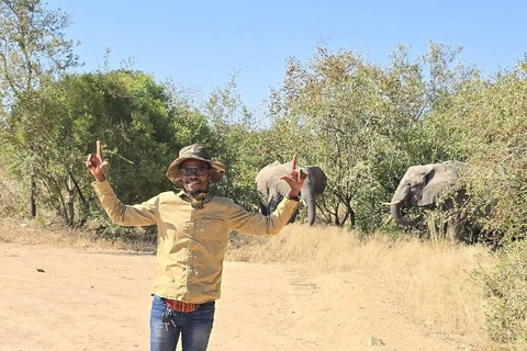 From Maputo: Kruger Park Safari & Elephant Interaction Tour