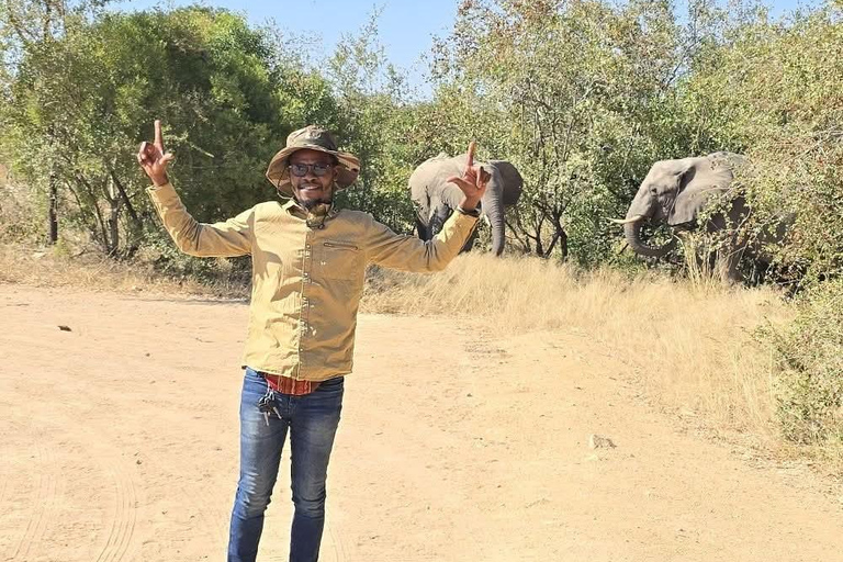 From Maputo: Kruger Park Safari & Elephant Interaction Tour