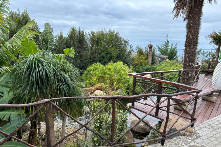 Madeira: Exotic Birds & Valleys 4x4 Safari with Local Guide Shared Exotic Birds & Valleys 4x4 Expedition Local Guide