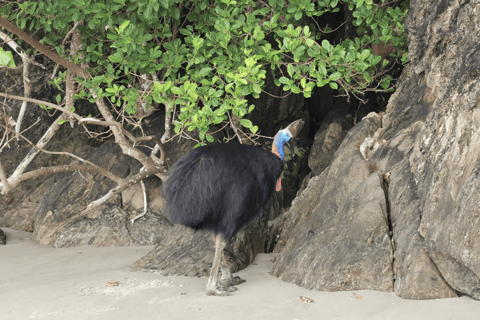 Kuranda Railway: Rainforestation Army Duck & Palm Cove Tour