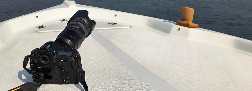 Tour en bateau : Capturez la magie de Chioggia à l'aube et au crépuscule