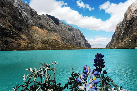 Von Huaraz aus: Tour zu den Llanganuco-Seen (Chinancocha-See)