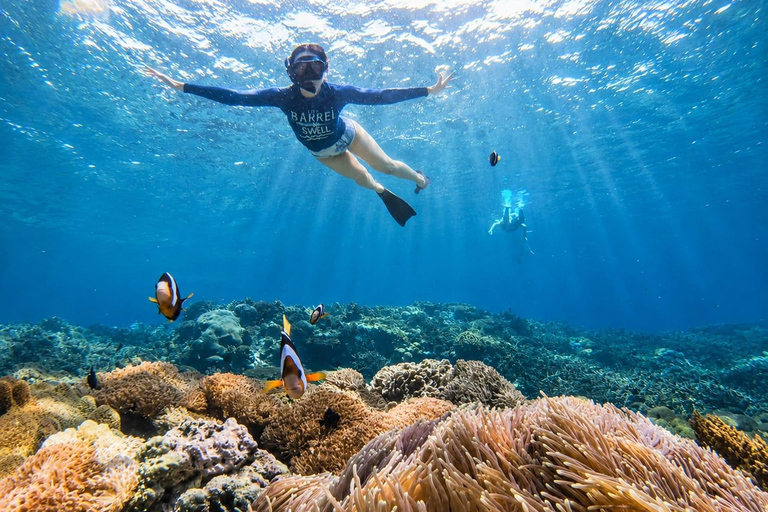 Nusa Lembongan Manta Snorkeling Trip, Mangrove & Island Tour Sharing 3 Spots Snorkeling & Mangrove Advanture