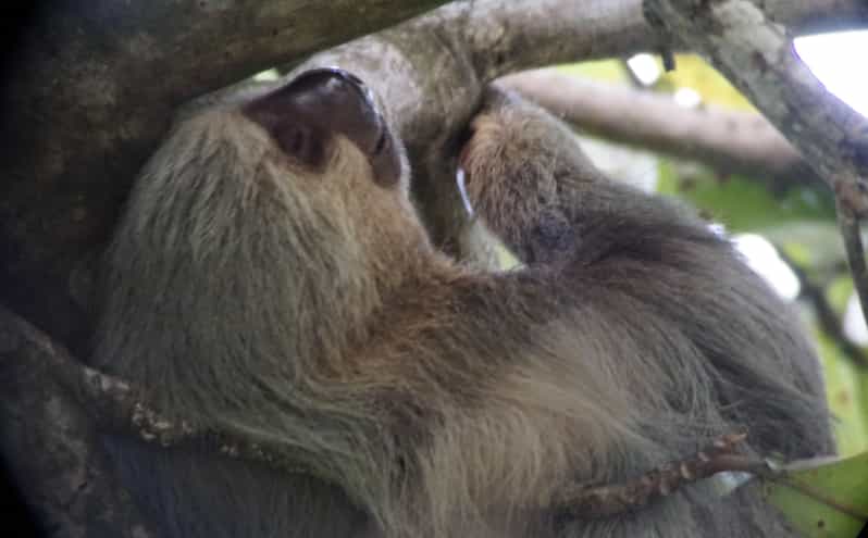 Uvita: Nature Walk at Marino Ballena National Park