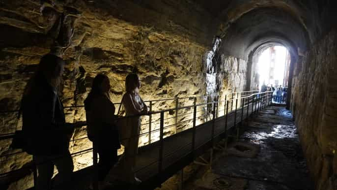 Roma: Visita a las Mazmorras Subterráneas del Coliseo con el Foro Romano