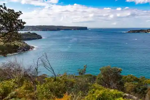 Sydney: Taronga zoo to Balmoral Walk with Ala carte Lunch