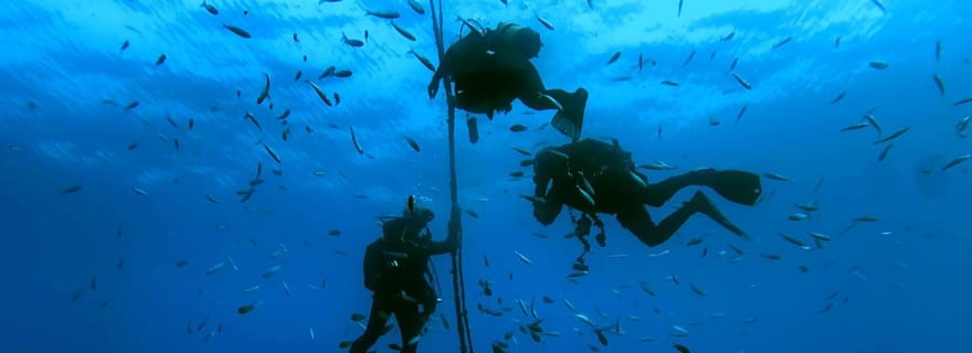 Madère : plongée sous-marine pour débutants depuis Porto Santo