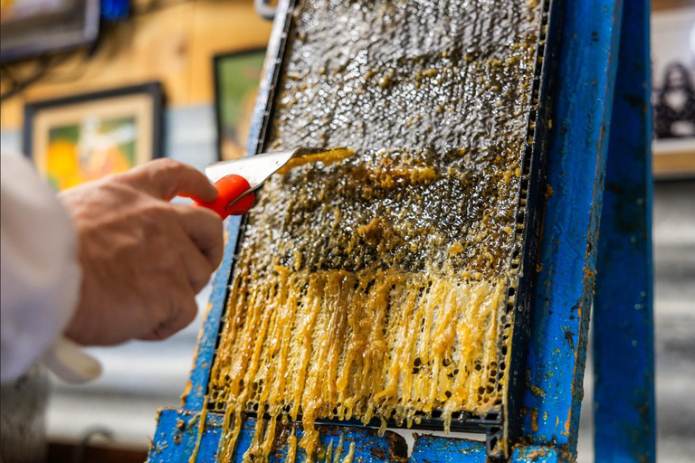 Queenstown: Honey Extraction Experience with Jar