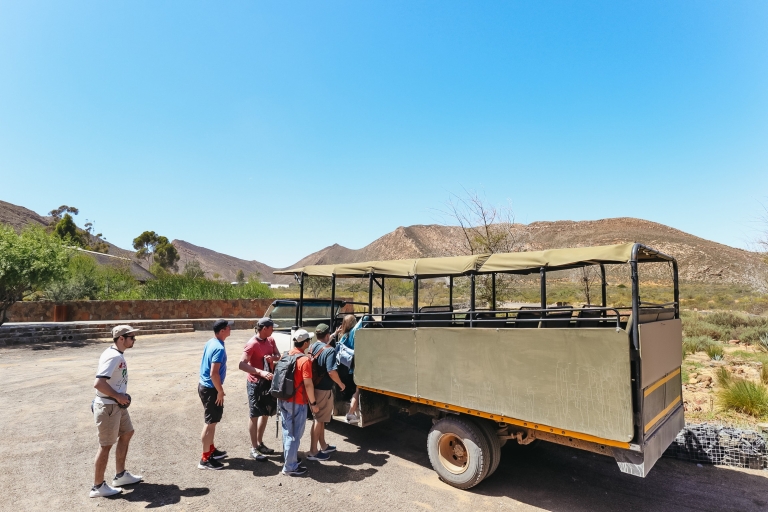 Z Kapsztadu: Wycieczka do Aquila z safari