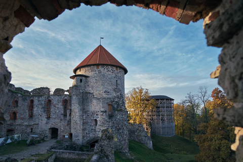 Poznaj kraje bałtyckie: Ryga - Tallinn / Wycieczka jednodniowa Tallinn - Ryga