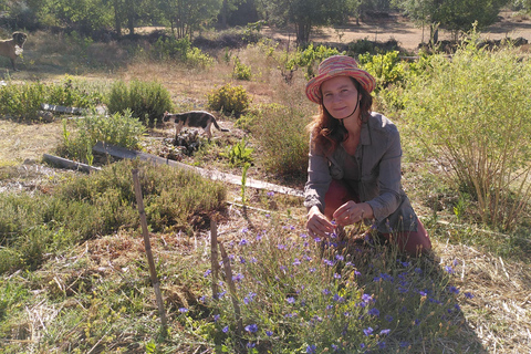 Trancoso: Tour ecologico della fattoria con degustazione