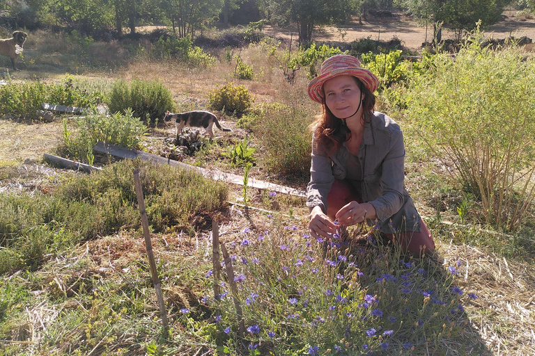 Trancoso: Tour ecologico della fattoria con degustazione