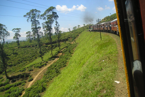 Da Colombo a Ella: e-ticket per il treno e servizio navetta dall&#039;hotel senza stressColombo: e-ticket per il viaggio in treno da Ella in prima o seconda classe