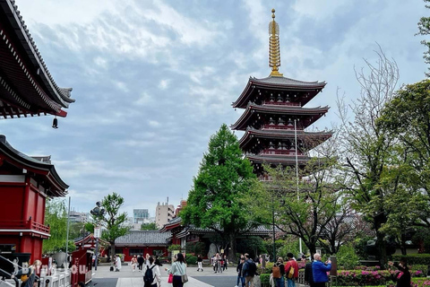 Tokyo: Private Full Day City Tour with English Driver
