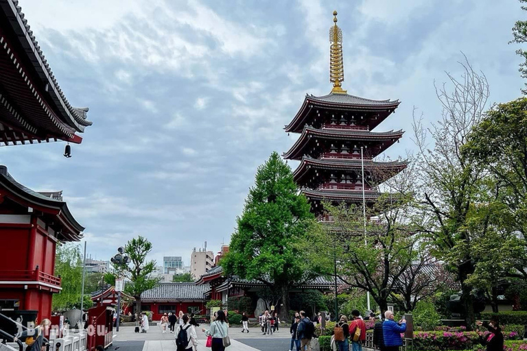 Tokyo: Private Full Day City Tour with English Driver