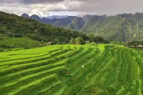 From Hanoi: Mai Chau - Pu Luong 2 Days 1 Night