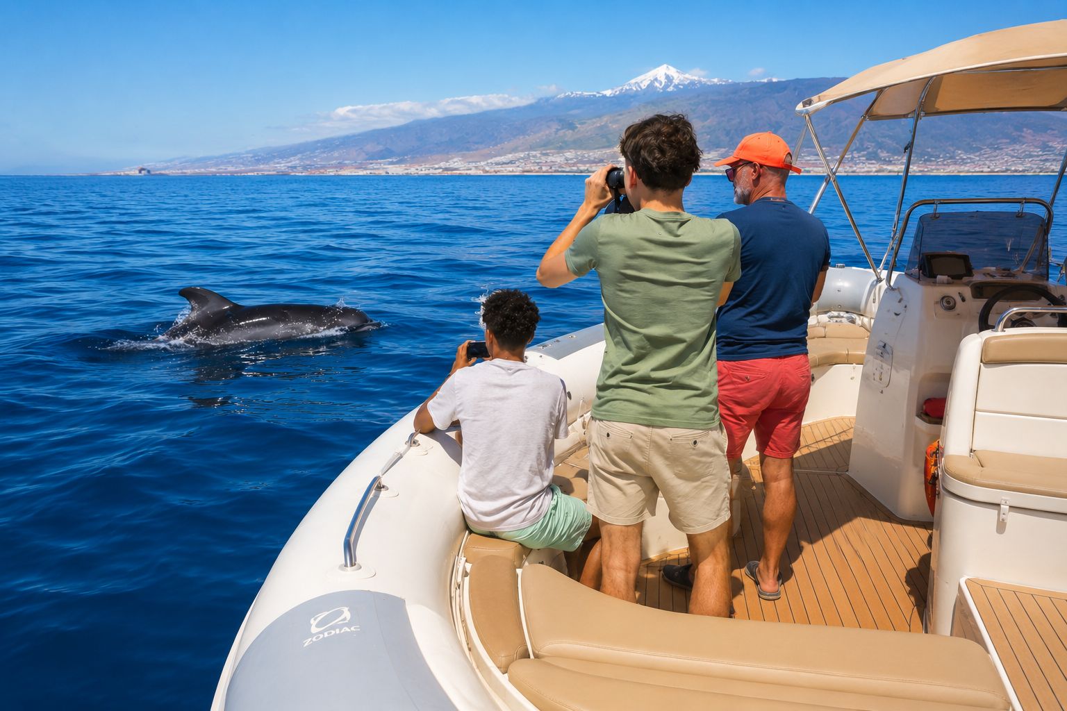 Süd-Teneriffa: Private Tour zur Beobachtung von Walen und Delfinen
