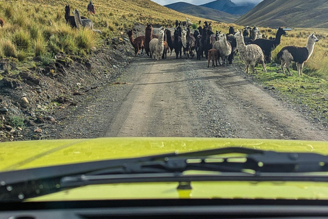 Private 4x4 Expedition: Landscapes of the Cordillera Real from La Paz