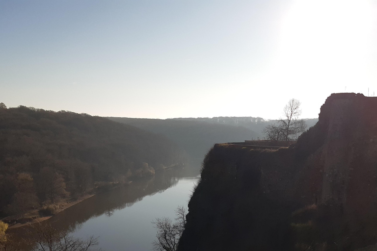A Day Hike in Mervent Forest (Vendée)