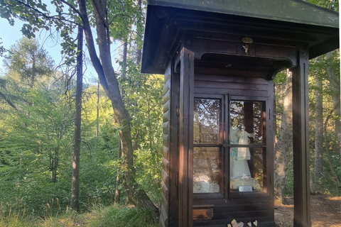 Bled: Guided Forest Meditation and a Personal Spirit Message