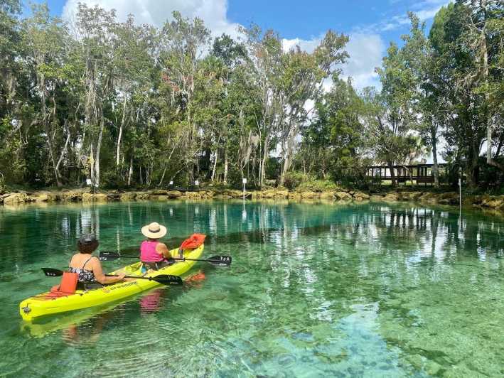 THE 10 BEST Crystal River Tours & Excursions for 2024 (with Prices)
