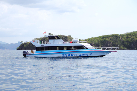 Labuan Bajo: Komodo Islands Speedboat Day Trip with Pickup Komodo Islands Speedboat Day Trip with Pickup