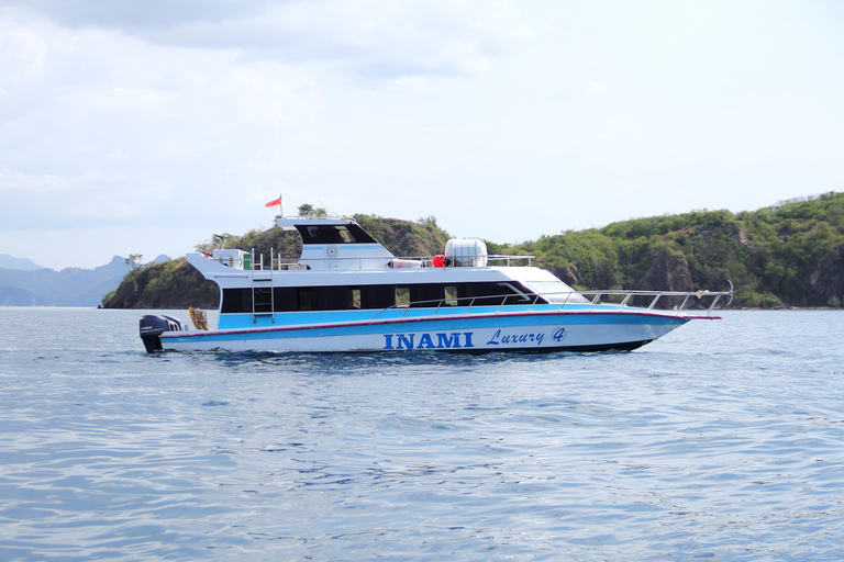 Labuan Bajo: Komodo Islands Speedboat Day Trip with Pickup Komodo Islands Speedboat Day Trip with Pickup