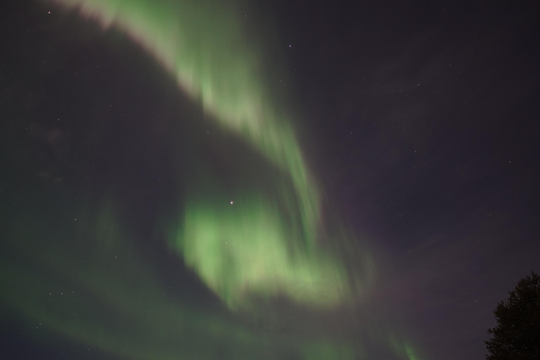 Rovaniemi Northern Lights – The Real Guaranteed Hunt