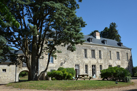 Tour della Valle della Loira e degustazione di vini Vouvray, Chinon, BourgueilTour privato del vino senza pranzo