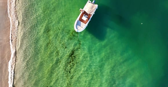 From Setúbal: Arrábida Natural Park Boat Trip