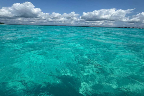 Zanzibar: tour privato dell'isola di MnembaTour privato. Non c'è il servizio di prelievo in hotel e non c'è il pranzo.