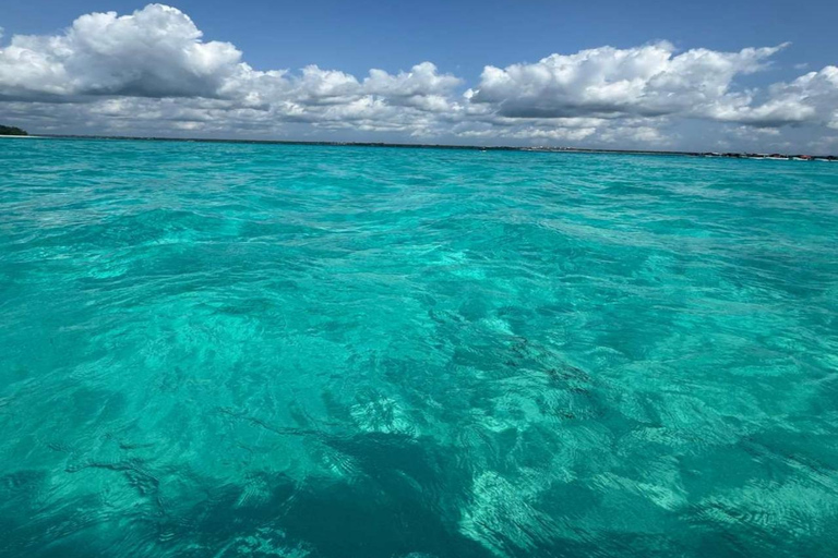 Zanzibar: tour privato dell'isola di MnembaTour privato. Non c'è il servizio di prelievo in hotel e non c'è il pranzo.