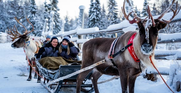 Rovaniemi: Local Reindeer Farm Visit with Sleigh Ride