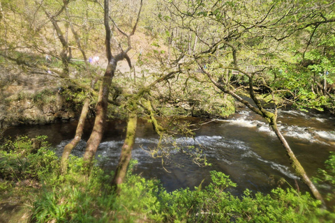 Breacon Beacons 4 watervallen met gids in dagwandeling vanuit Cardiff