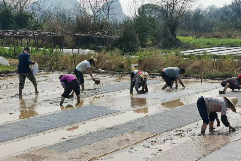 Guilin: Countryside Cycling 1-day Tour with Cooking Class