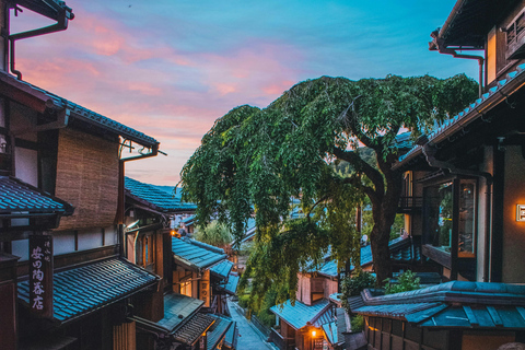 Osaka: Kyoto / Nara Custom Walking Tour in Public Transport